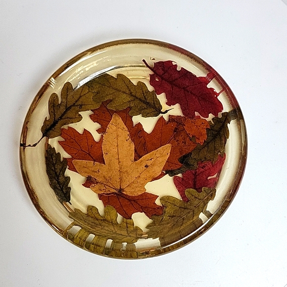 Lucite Fall Leaves Coasters - Picture 9 of 9
